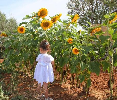 Un look Pepito by Chus entre girasoles