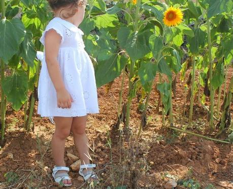 Un look Pepito by Chus entre girasoles