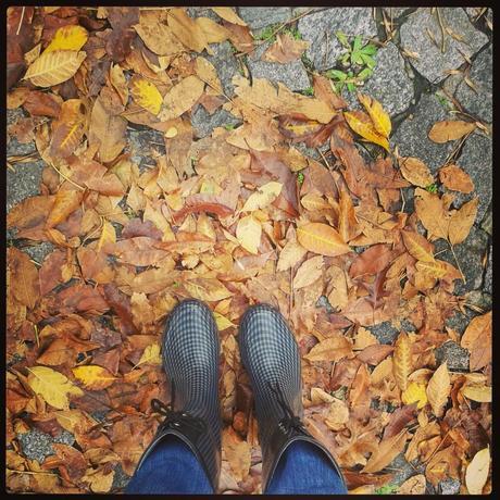 Otoño-Invierno en Instagram
