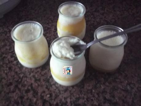 VASITOS ESPUMOSOS DE PLATERINAS