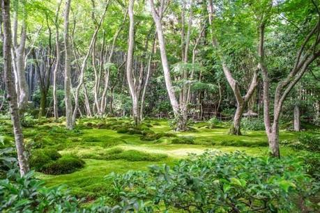 Agarra las maletas, nos vamos a ... KIOTO. Mini guía de viaje