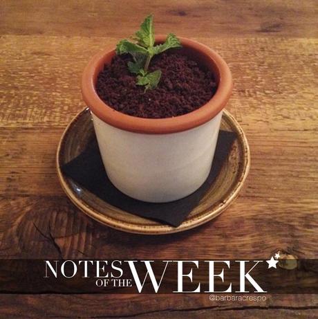 notes of the week barbara crespo tumblr social media instagram youtube instavideo facebook twitter