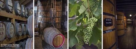 Vinos y gastronomía de Madeira