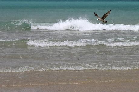 baldaio_35_20140405 - Version 3