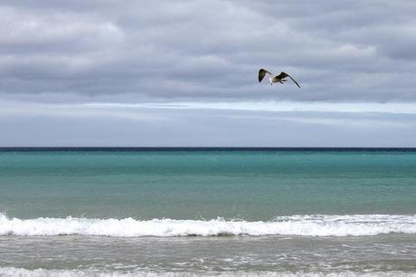 baldaio_36_20140405 - Version 2