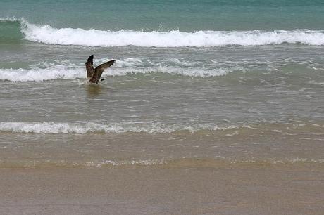 baldaio_34_20140405 - Version 2