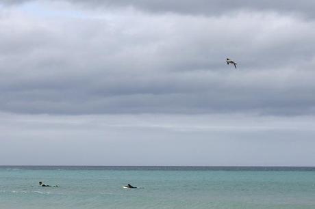 baldaio_37_20140405 - Version 2