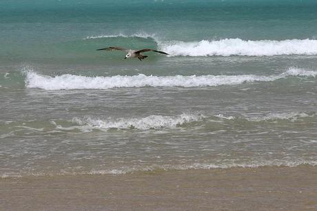 baldaio_32_20140405 - Version 2