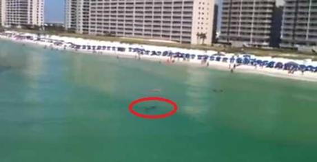 ataque de tiburón en una playa de Florida