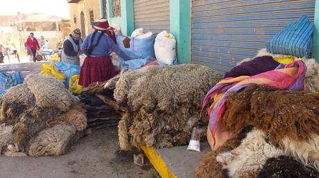 alpaca-Chumbivilcas-constancia-conflicto