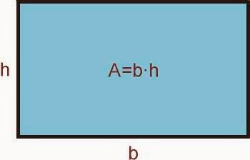 4 Ejercicios Básicos de Programación Orientada a Objetos en c++