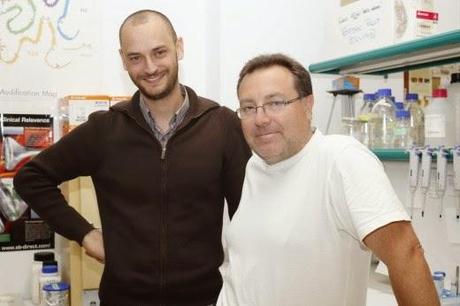 Dos investigadores “crean” un roedor para ayudar en la investigación de la fibromialgia
