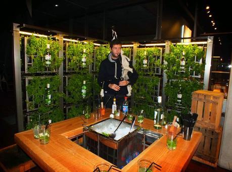 FIESTA inauguración terraza OH! FIESTA inauguración terraza OH!