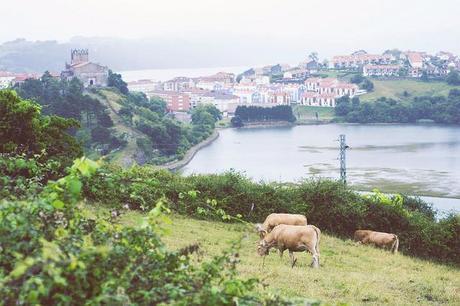 El viaje menos planeado de mi vida En la distancia