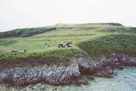 El viaje menos planeado de mi vida San Vicente de la Barquera