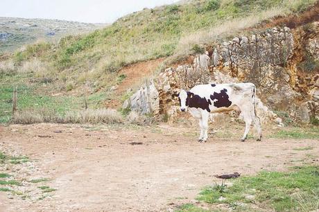 El viaje menos planeado de mi vida Moo