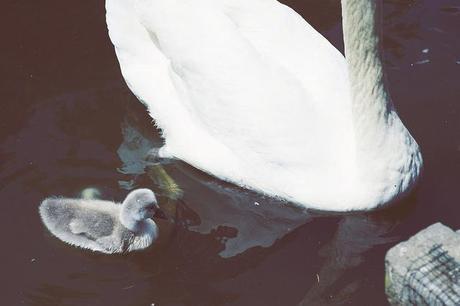 El viaje menos planeado de mi vida Madre e hijo.