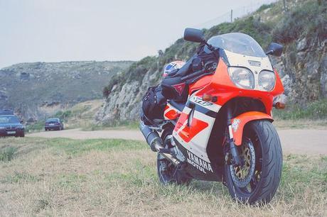 El viaje menos planeado de mi vida Compañera de viaje