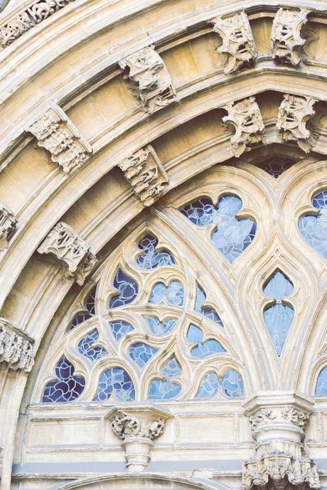 El viaje menos planeado de mi vida Catedral