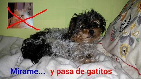 estamos tan agustito