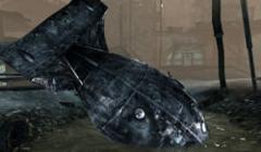 Actual Play: Apocalypse World