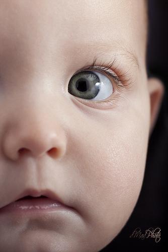 Por alguna razón que nadie conoce, la naturaleza castiga a los niños haciéndolos crecer.