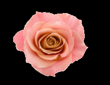 Pasteles Imprimibles. Provecho ! Pasteles Imprimibles. Provecho !