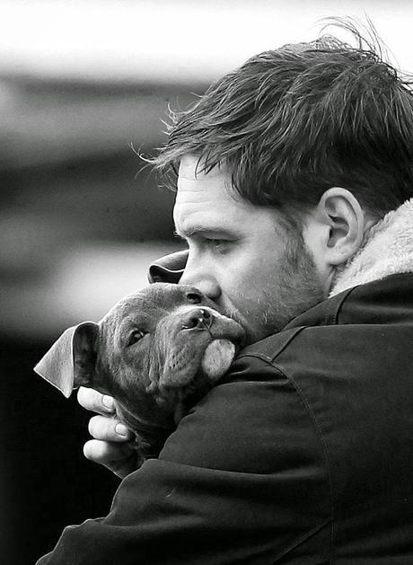 Bonito es:lovely dogs