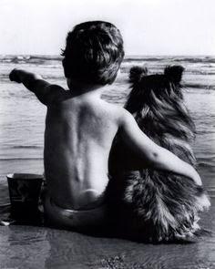 Bonito es:lovely dogs