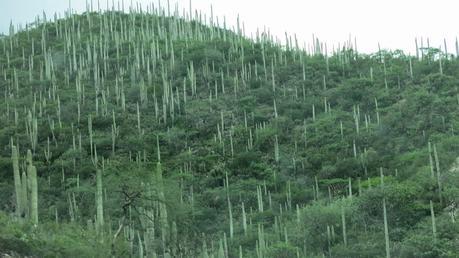 Oaxaca, el corazón de México