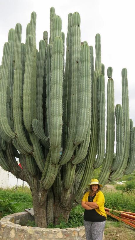 Oaxaca, el corazón de México