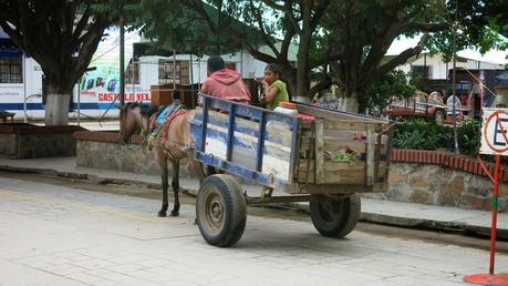 Oaxaca, el corazón de México