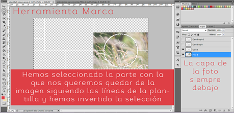 Tutorial: Crear Moodboards a partir de plantillas Tutorial: Crear Moodboards a partir de plantillas