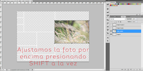Tutorial: Crear Moodboards a partir de plantillas Tutorial: Crear Moodboards a partir de plantillas