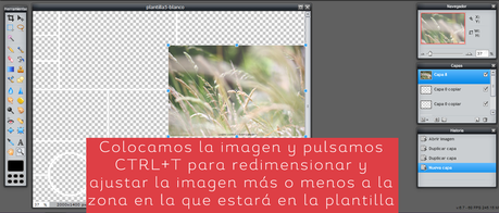 Tutorial: Crear Moodboards a partir de plantillas Tutorial: Crear Moodboards a partir de plantillas