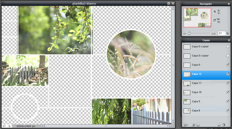Tutorial: Crear Moodboards a partir de plantillas Tutorial: Crear Moodboards a partir de plantillas