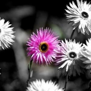 ¿Miedo a rediseñar tu vida? ¿O a reconocerte a ti misma? rediseñartuvida