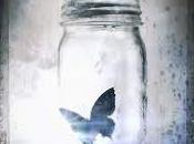 RESEÑA: MARAVILLOSO DESASTRE JAMIE McGUIRE: