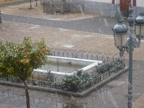 Martes Parlanchín #8