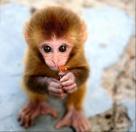 EL RIESGO DE DAR LAS COSAS POR SENTADO