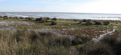 Doñana y su entorno en invierno