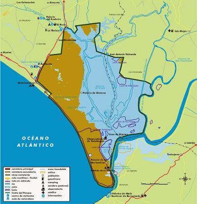 Doñana y su entorno en invierno