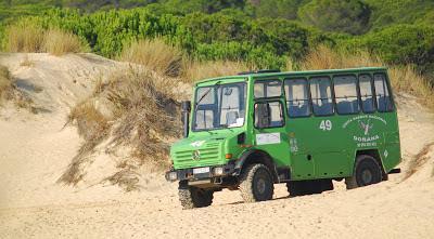 Doñana y su entorno en invierno