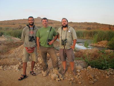 Anillar aves migratorias en el Parque Nacional de Souss Massa