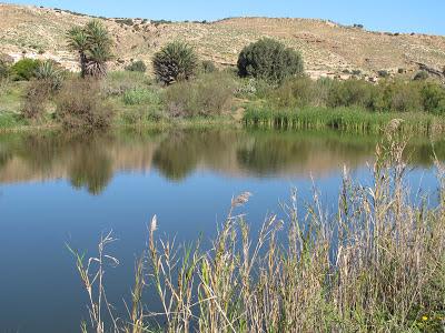 Parque Nacional de Souss Massa en Primavera