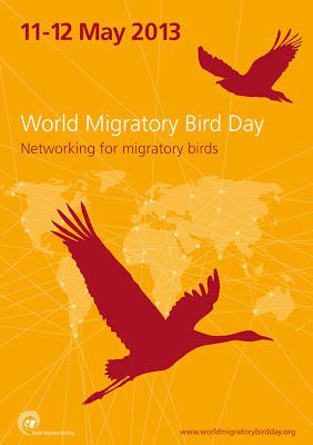 Día mundial de las aves migratorias. 11 y 12 de Mayo 2013.
