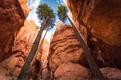 Lugares espectaculares del planeta