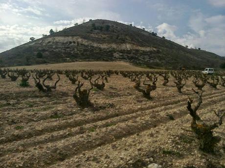 Ribera del Duero