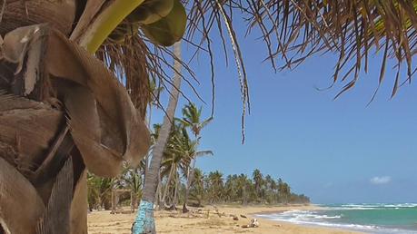 La Playa de Lava Cama, en Nisibón