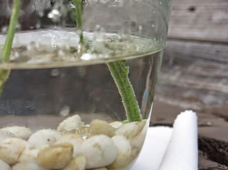 Una boda diferente, porque la pareja lo es